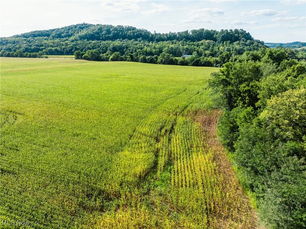 Overview of rural landscape with a heavily wooded area