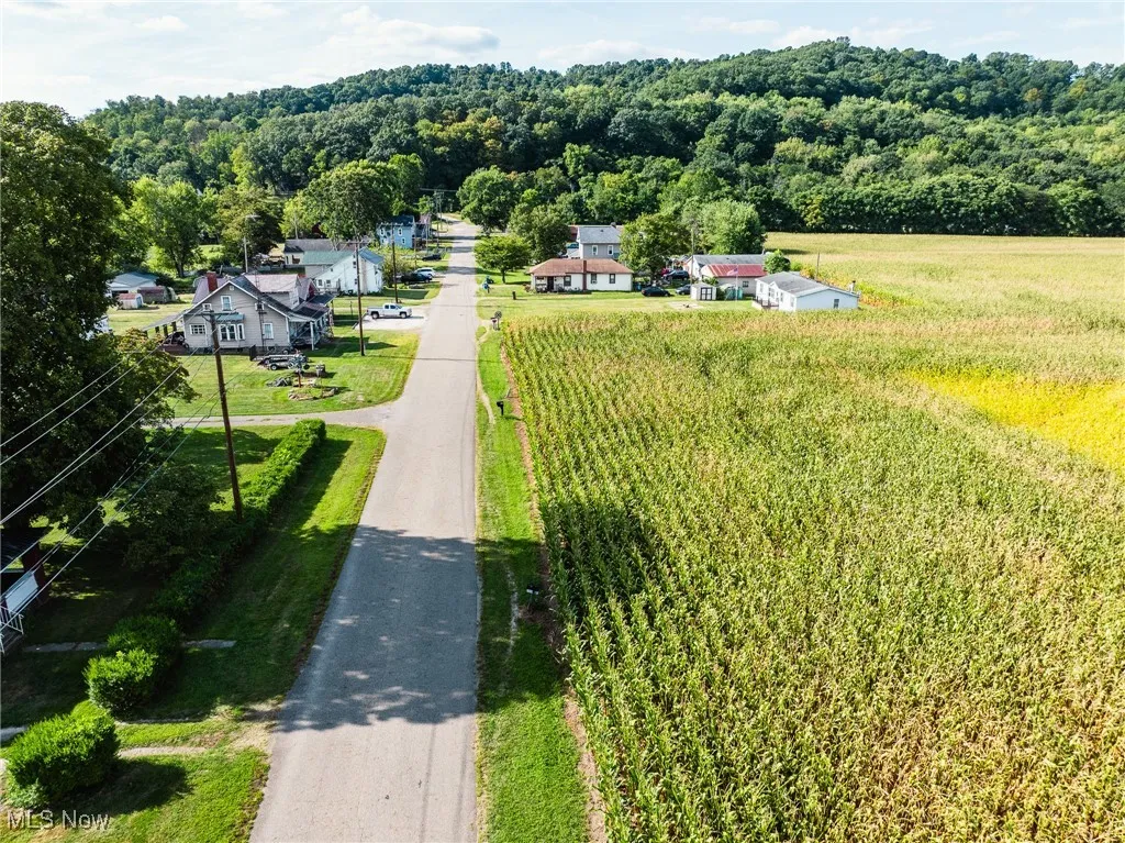 View of rural area featuring a heavily wooded area and large plots for crops