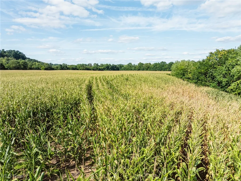 View of nature featuring rural landscape and rows of crops
