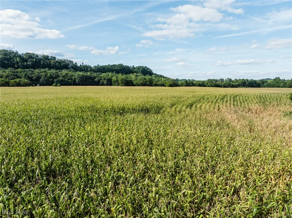 View of local wilderness featuring rural landscape and farmland