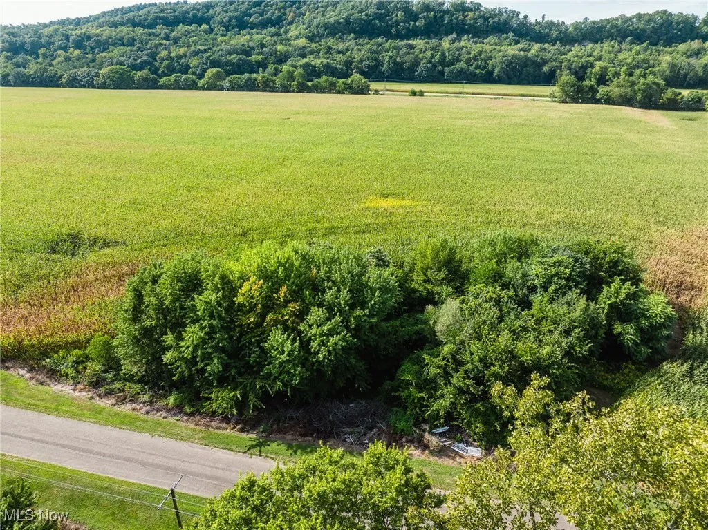 Aerial view of sparsely populated area featuring a forest