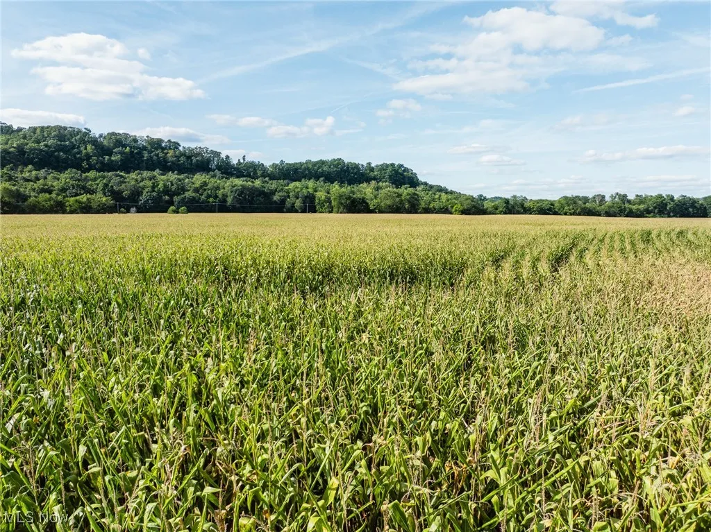 View of nature featuring rural landscape and extensive farmland