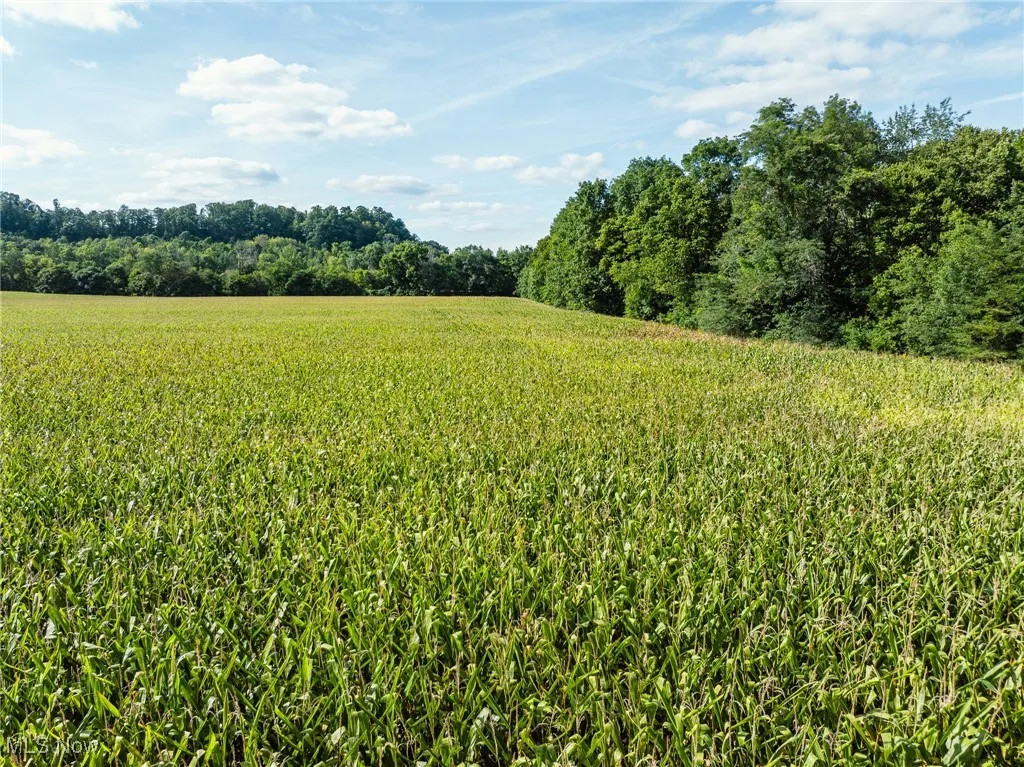View of undeveloped land featuring rural landscape and abundant farmland