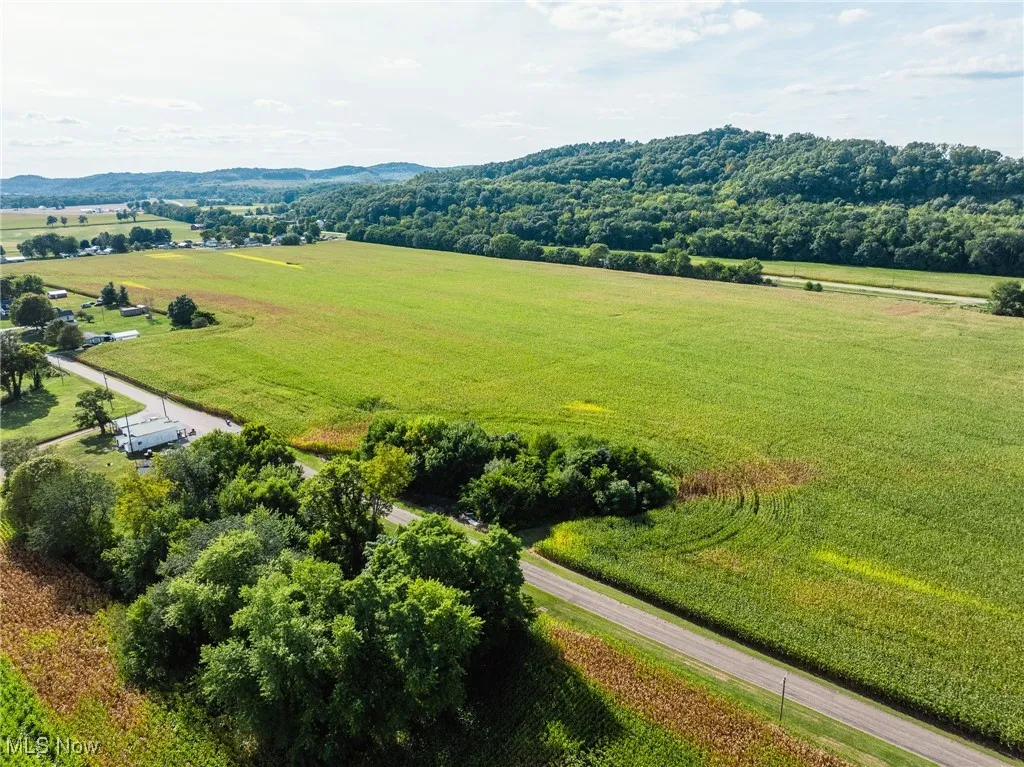 Overview of rural landscape featuring rows of crops