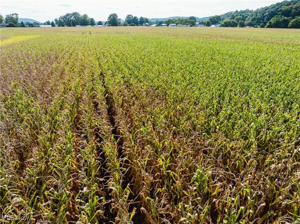 View of yard with a view of countryside and agricultural area