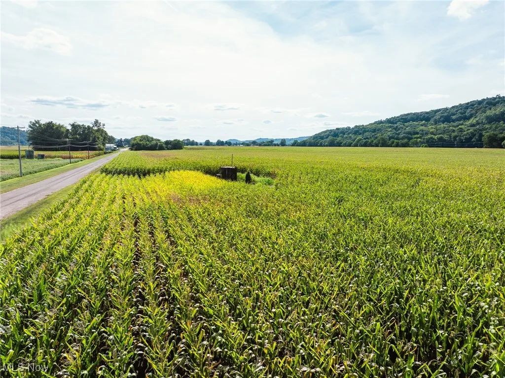View of yard with a view of rural / pastoral area and agricultural plots