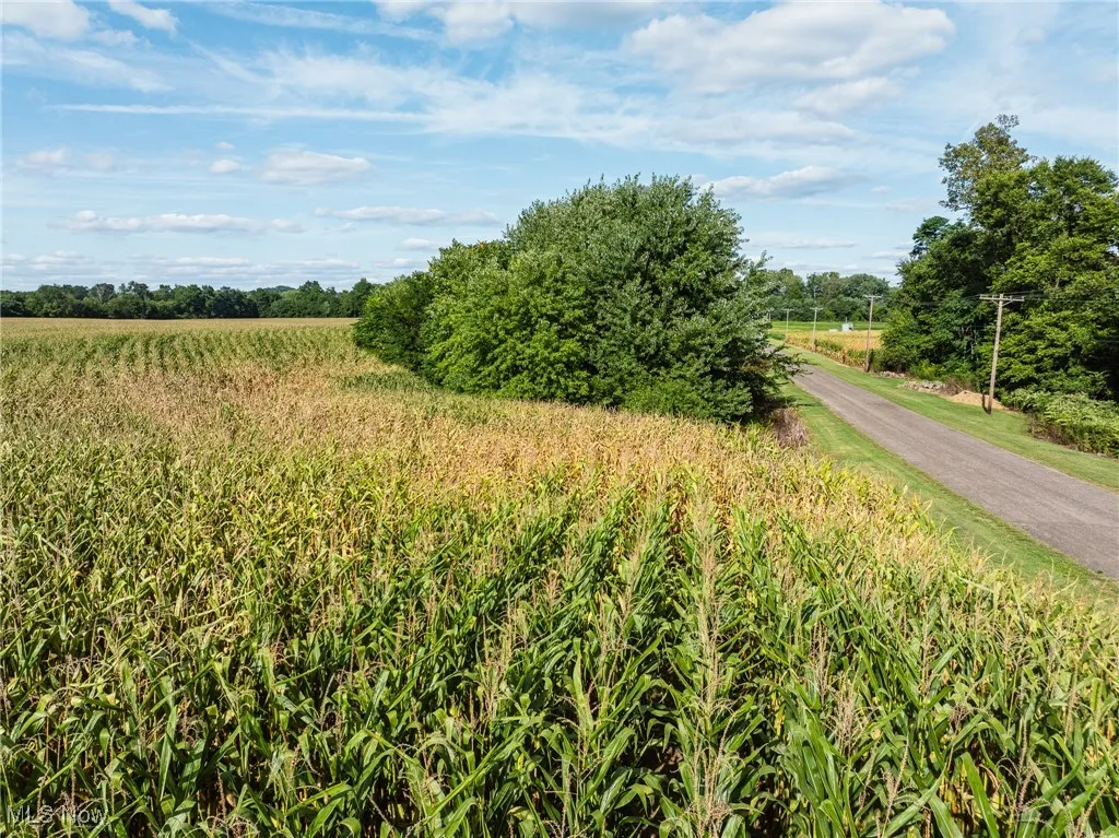 View of undeveloped land with rural landscape