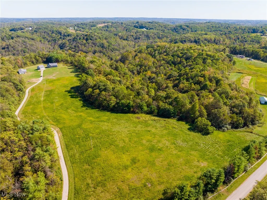 Drone / aerial view of a forest