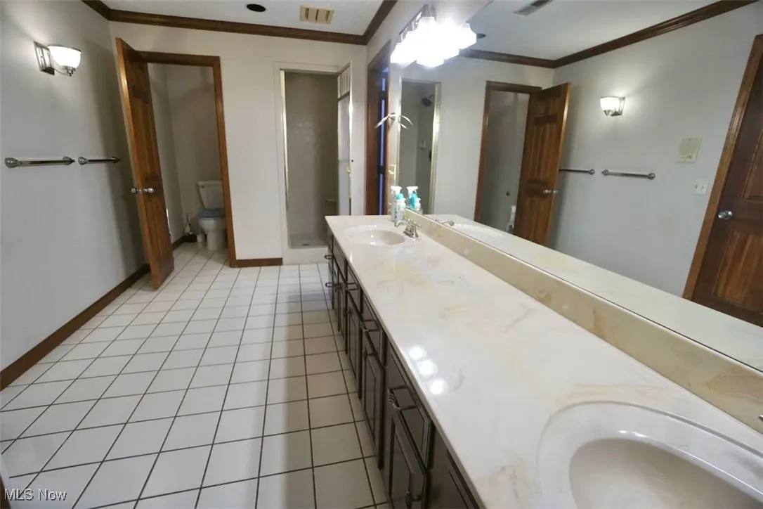 Full bathroom featuring a shower stall, ornamental molding, light tile patterned floors, and double vanity