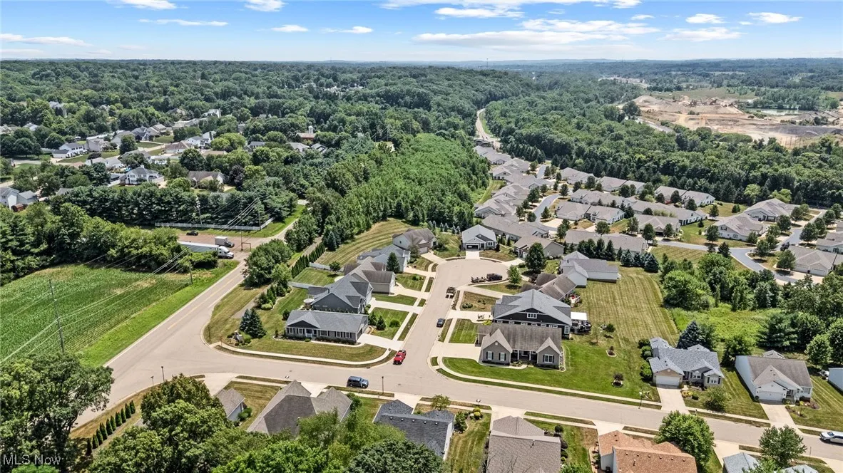 Aerial view of residential area featuring a forest