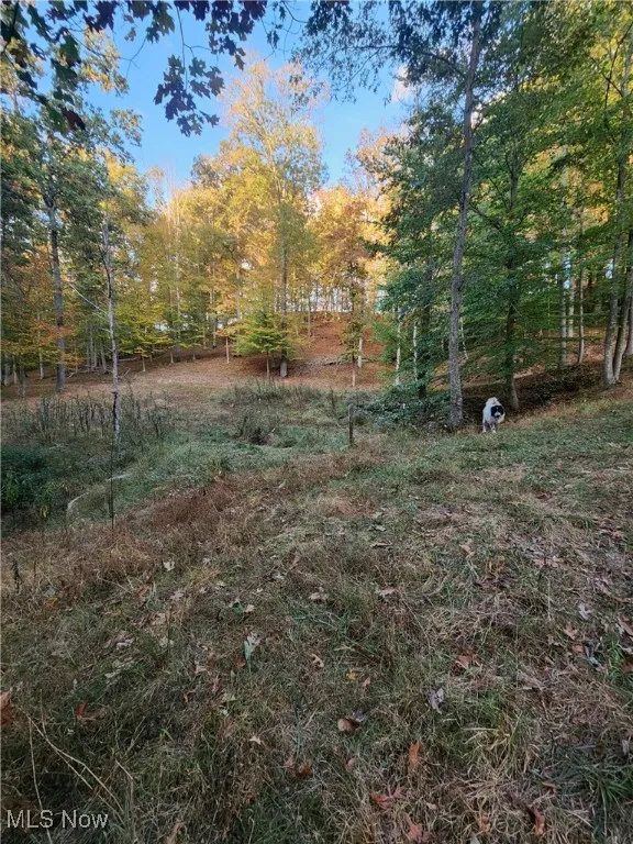 814 Wells Run Road, Crown City, Ohio 45623,MLS Now Listing ID