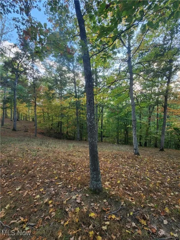 814 Wells Run Road, Crown City, Ohio 45623,MLS Now Listing ID