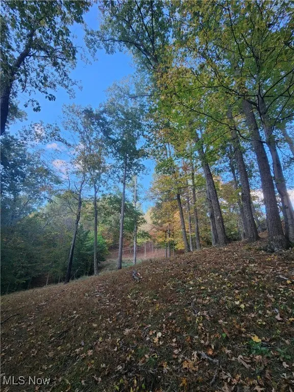 814 Wells Run Road, Crown City, Ohio 45623,MLS Now Listing ID
