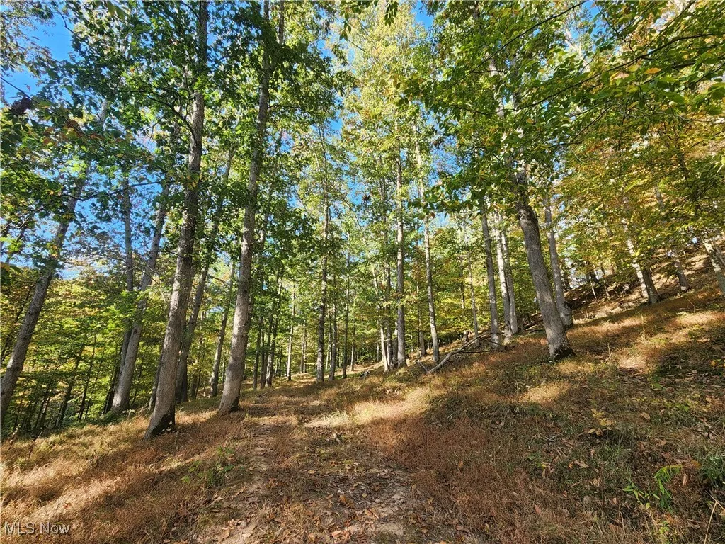 814 Wells Run Road, Crown City, Ohio 45623,MLS Now Listing ID