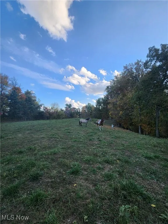 814 Wells Run Road, Crown City, Ohio 45623,MLS Now Listing ID