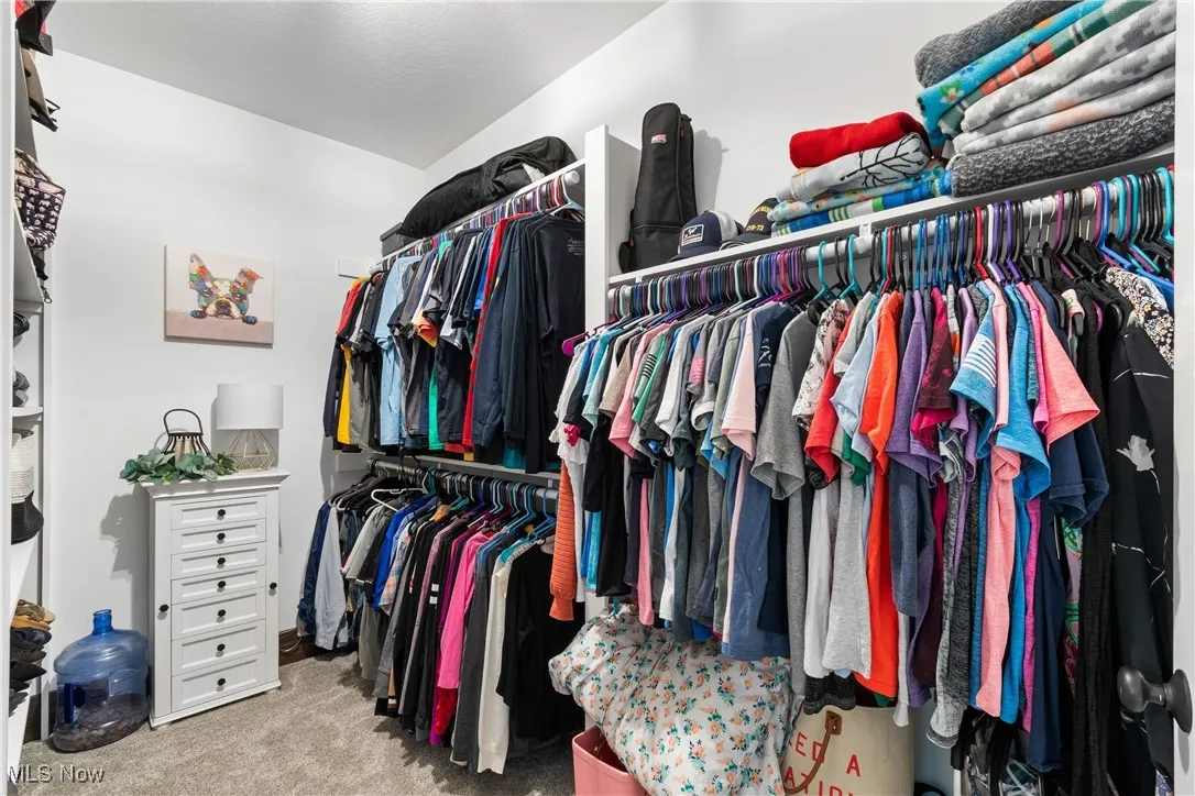 Walk in closet featuring light colored carpet