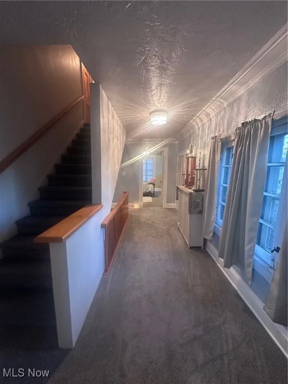 1172 W 7th Street, Lorain, Ohio 44052,MLS Now Listing ID