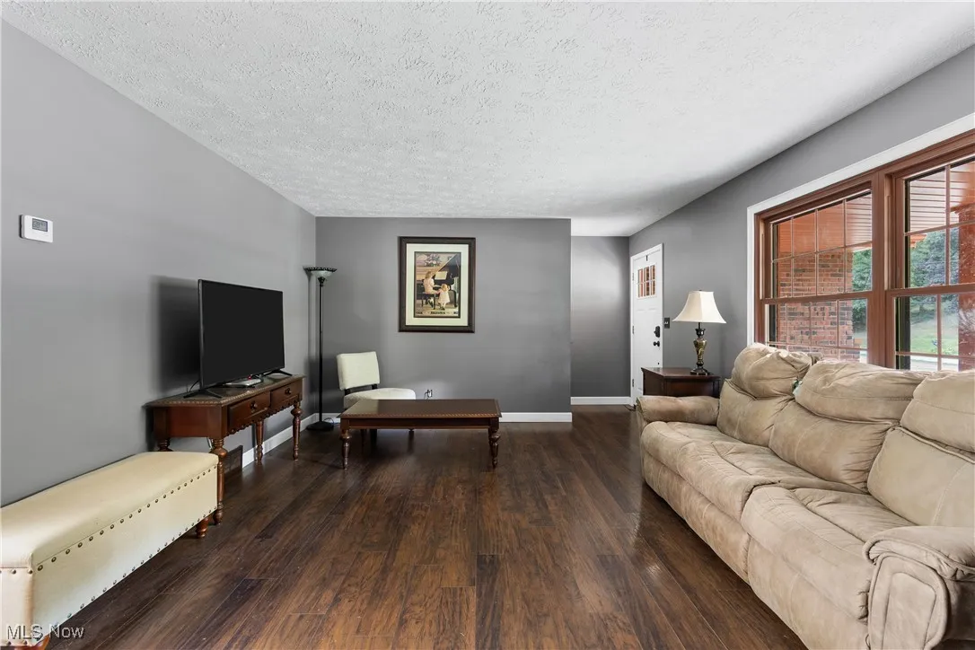 Living room featuring dark wood-type flooring and a textured ceiling