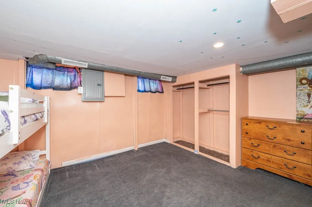 Finished below grade area with carpet and electric panel