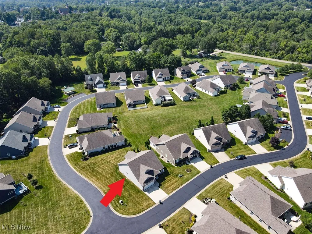 Aerial view of residential area featuring a forest
