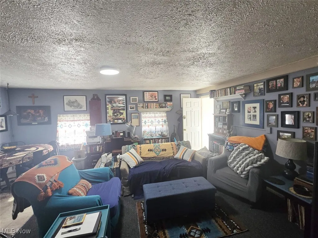 Carpeted living area featuring a textured ceiling