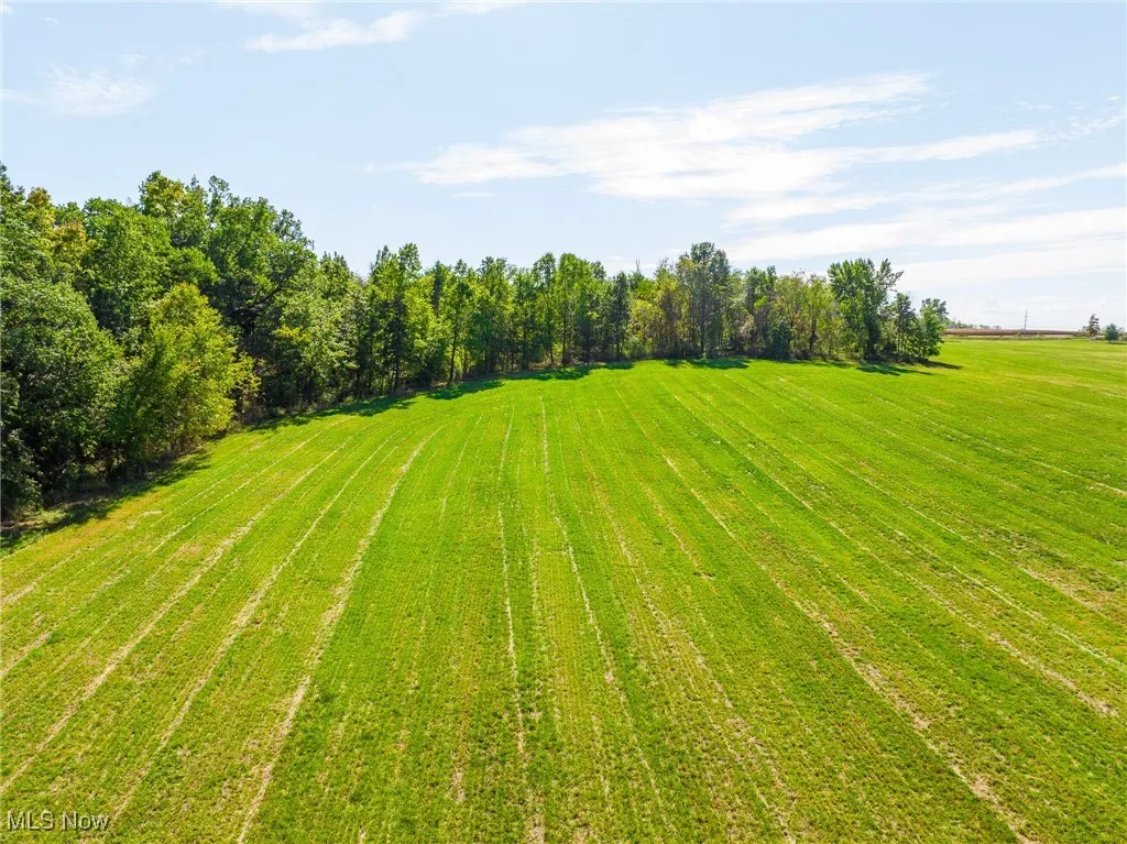 View of green lawn featuring a rural view