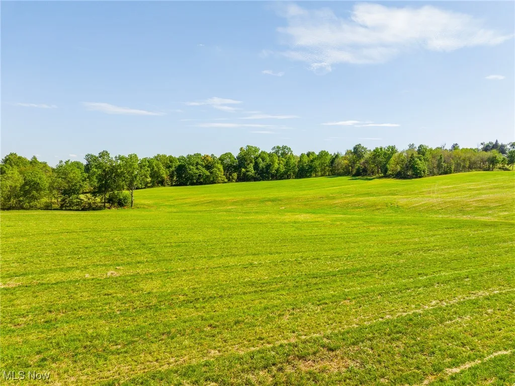 View of nature