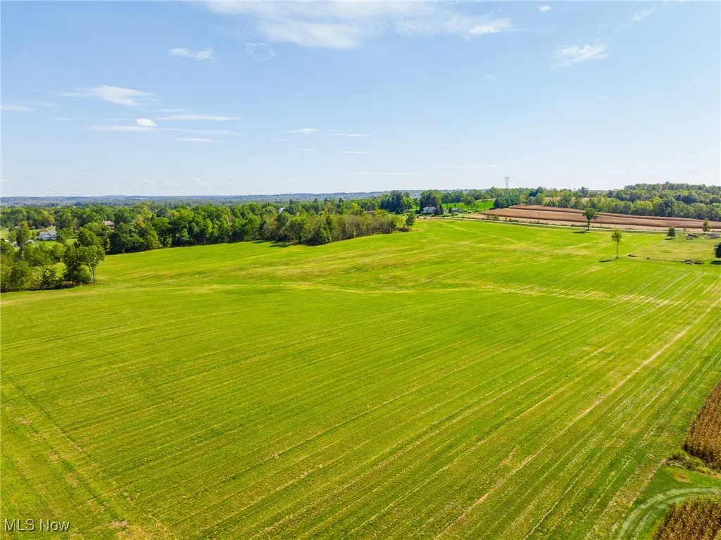Overview of rural landscape featuring rows of crops