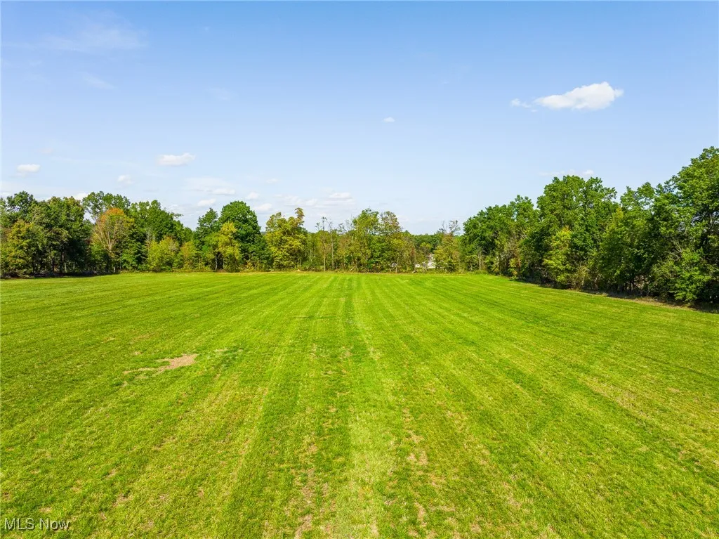 View of grassy yard