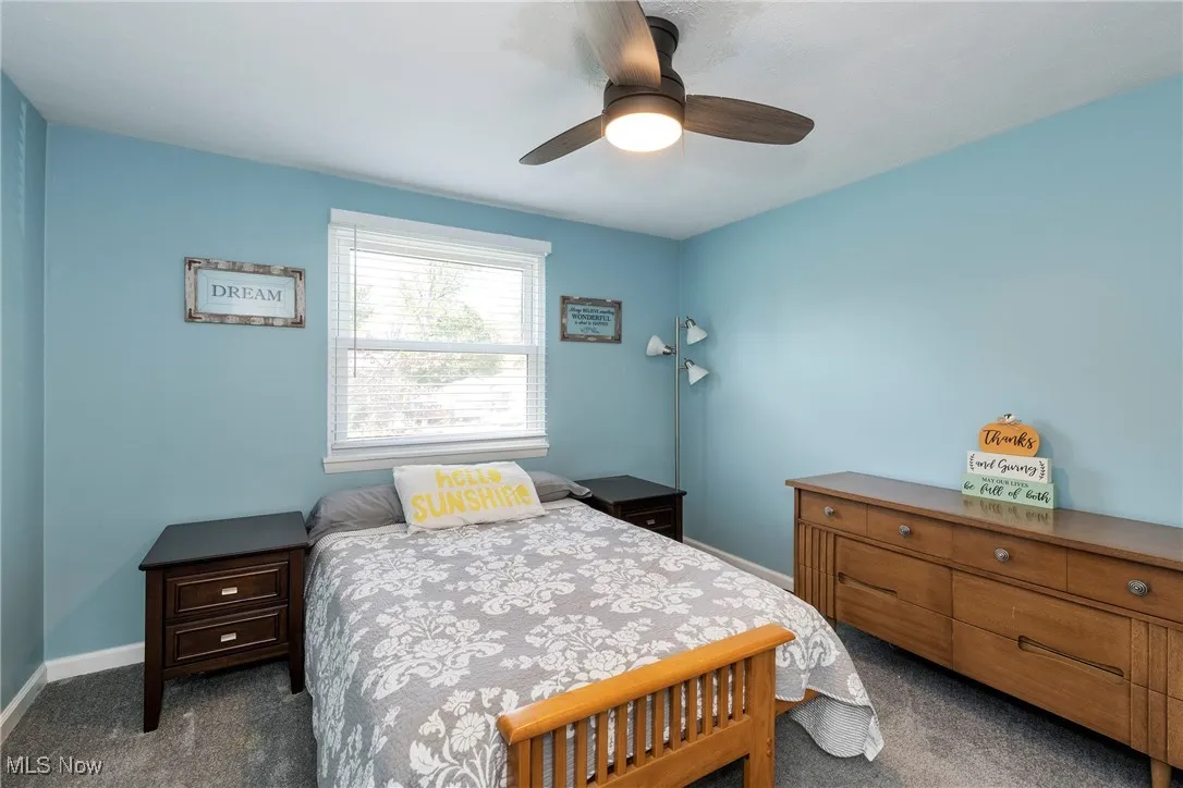 Bedroom with ceiling fan/overhead light and carpeted floor