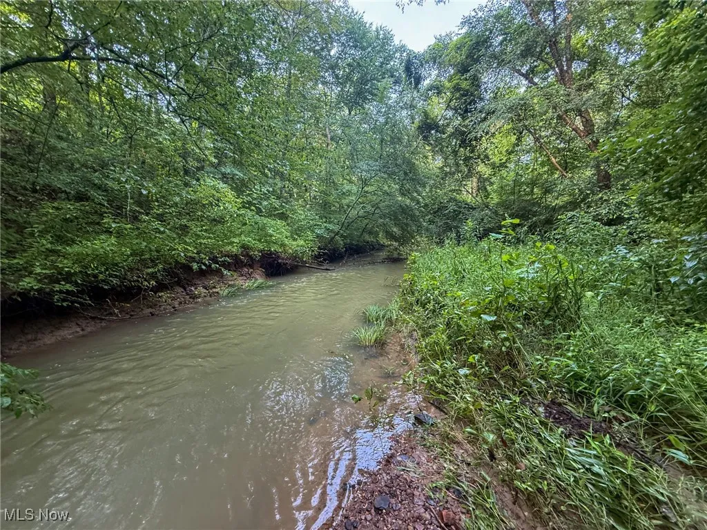 Water view featuring a heavily wooded area