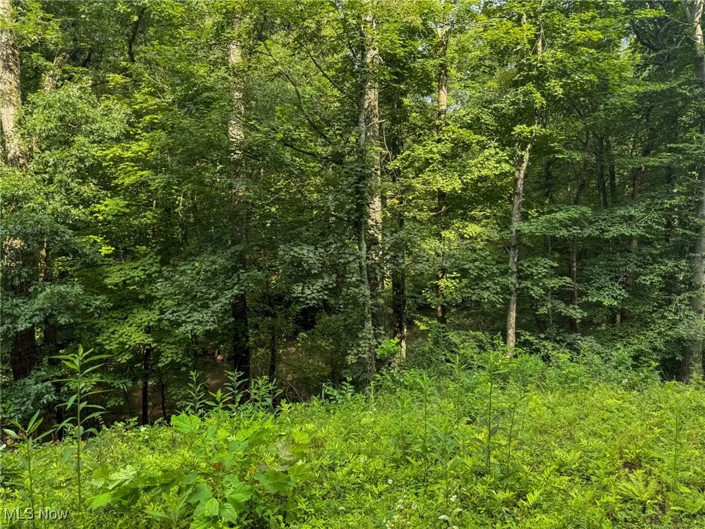 View of wooded area