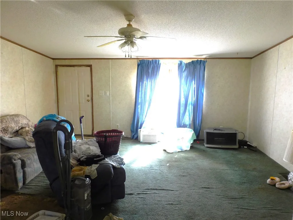 Living area featuring crown molding, carpet floors, a textured ceiling, ceiling fan, and a decorative wall