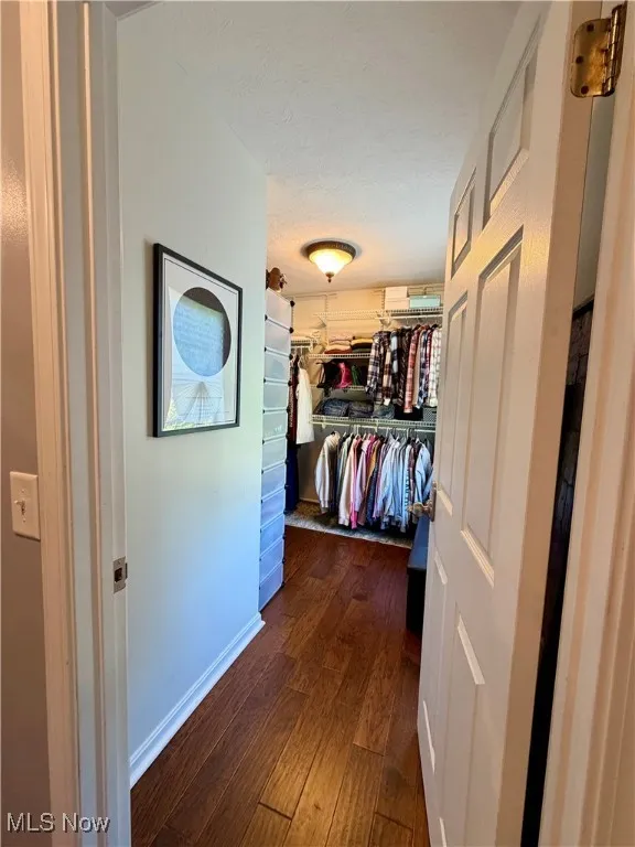Spacious closet featuring dark wood-style flooring