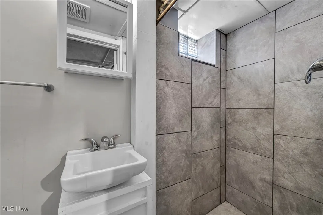 Bathroom with vanity and shower