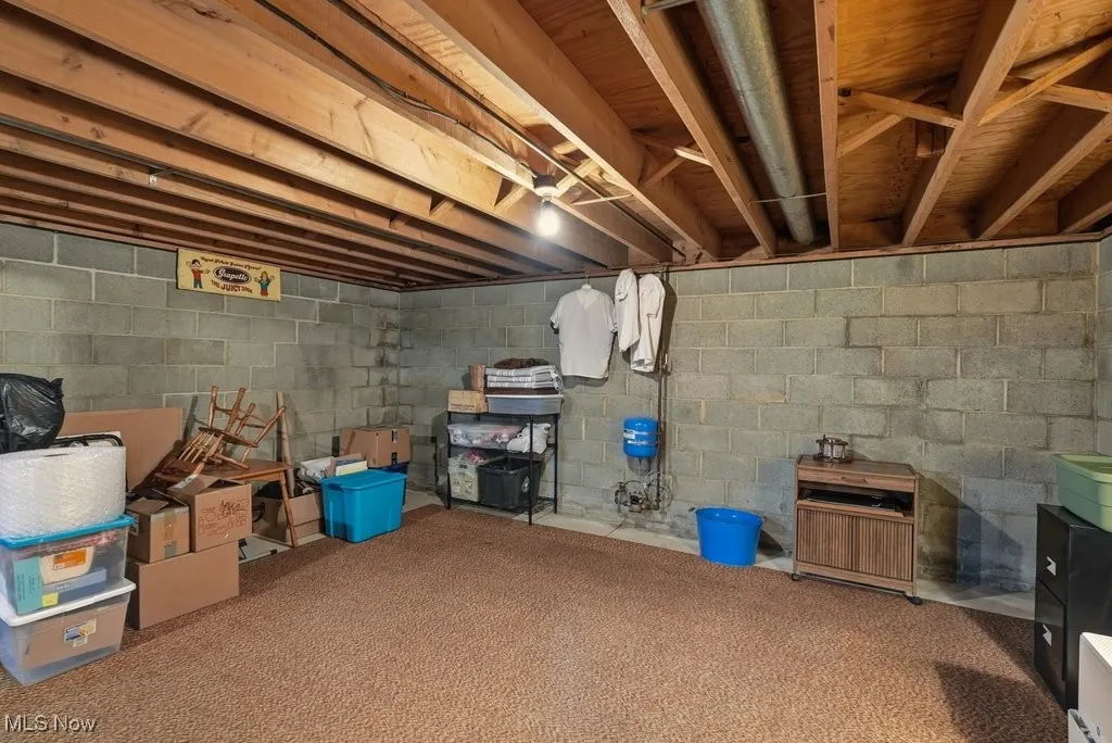 Unfinished basement with carpet