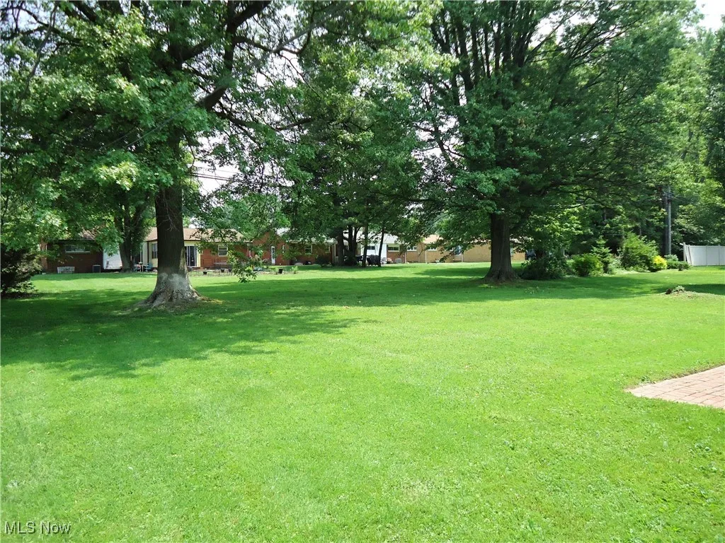 View of grassy yard