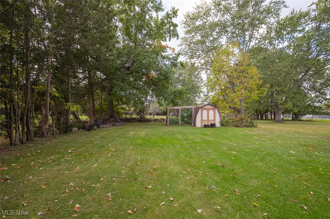 View of yard with a shed and view of wooded area.