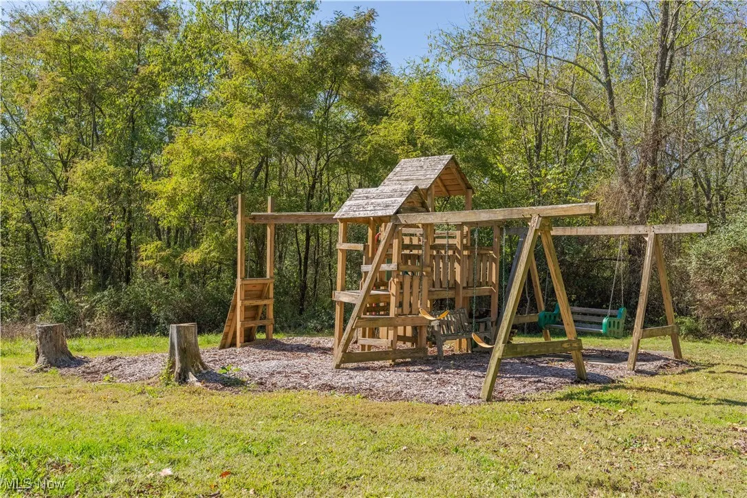Outdoor Playset stays!
