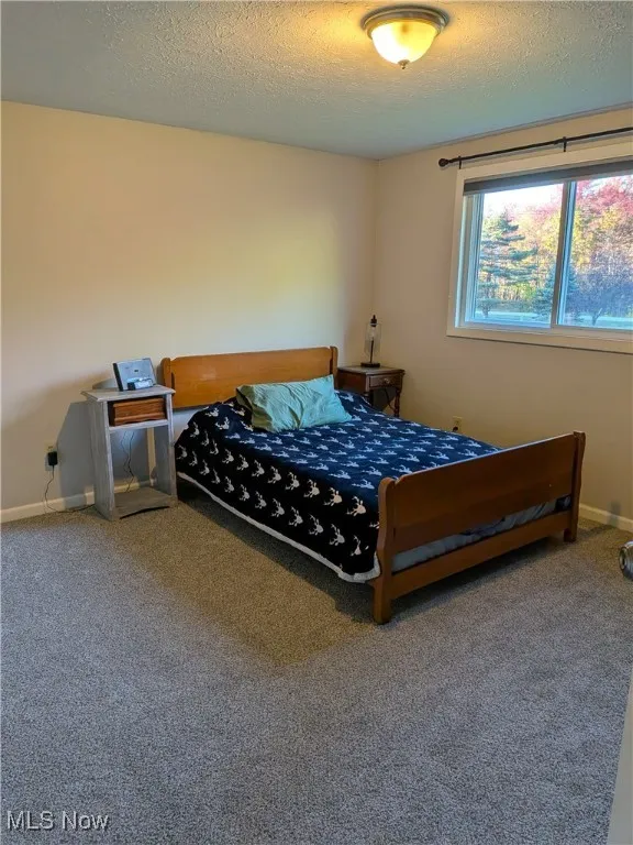 Bedroom with a textured ceiling and carpet flooring