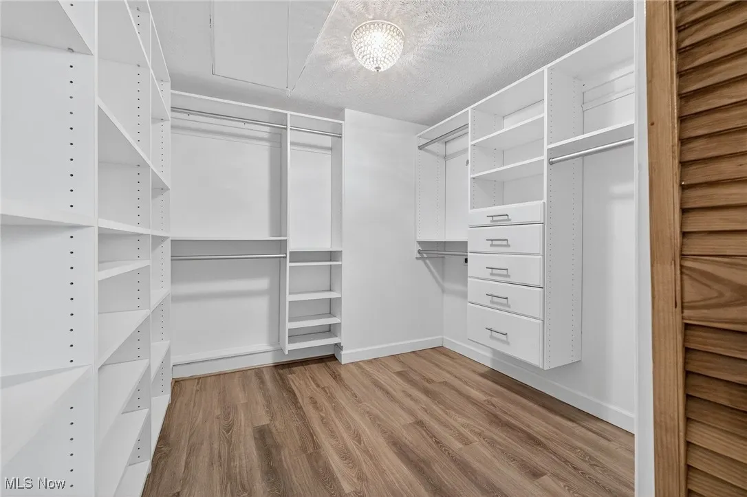 Spacious closet featuring light wood finished floors