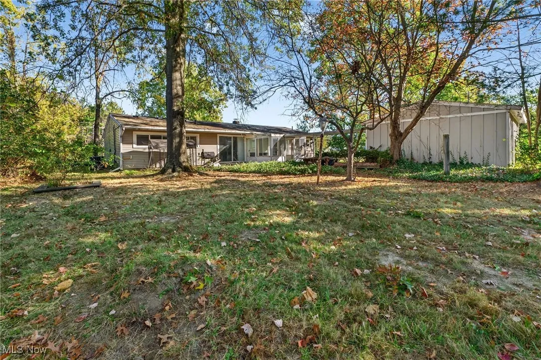 View of grassy yard
