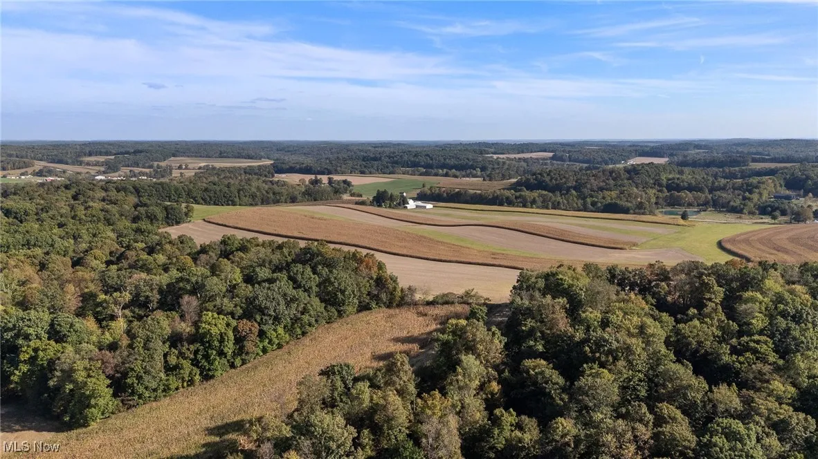 Aerial view of a heavily wooded area