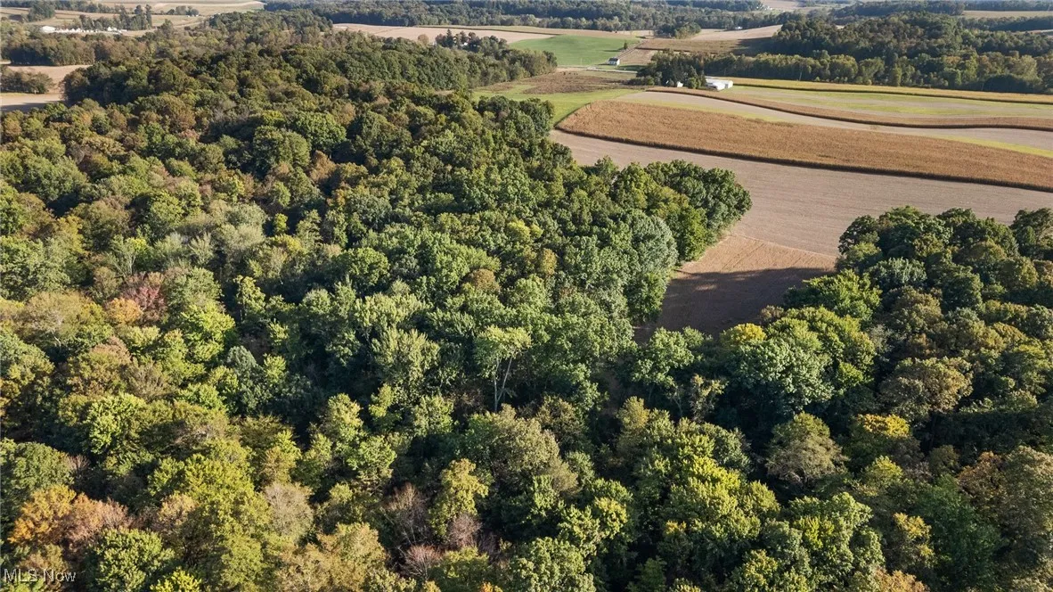 Aerial view of property's location