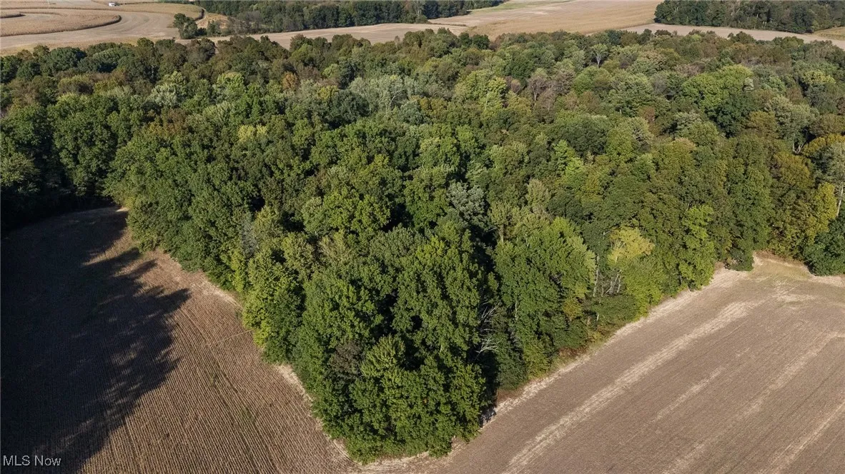 View of property location featuring a forest