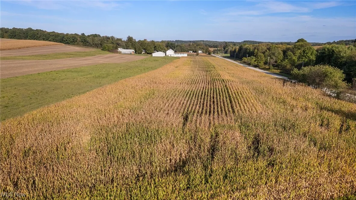Aerial view of sparsely populated area with rows of crops