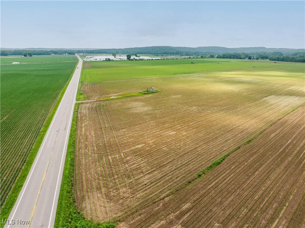 Overview of rural landscape with rows of crops