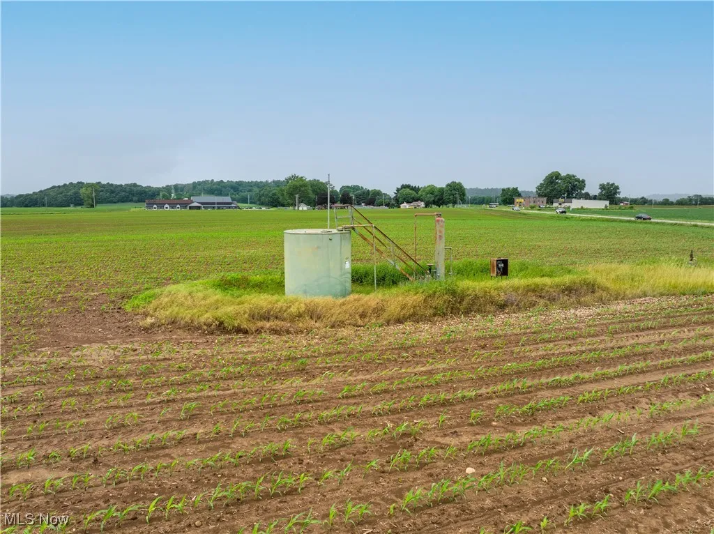 View of yard with a rural view and agricultural area