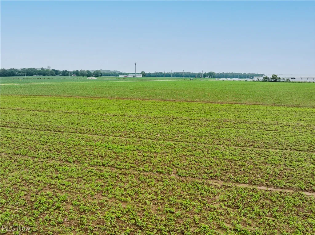 View of yard with a view of rural / pastoral area and agricultural area