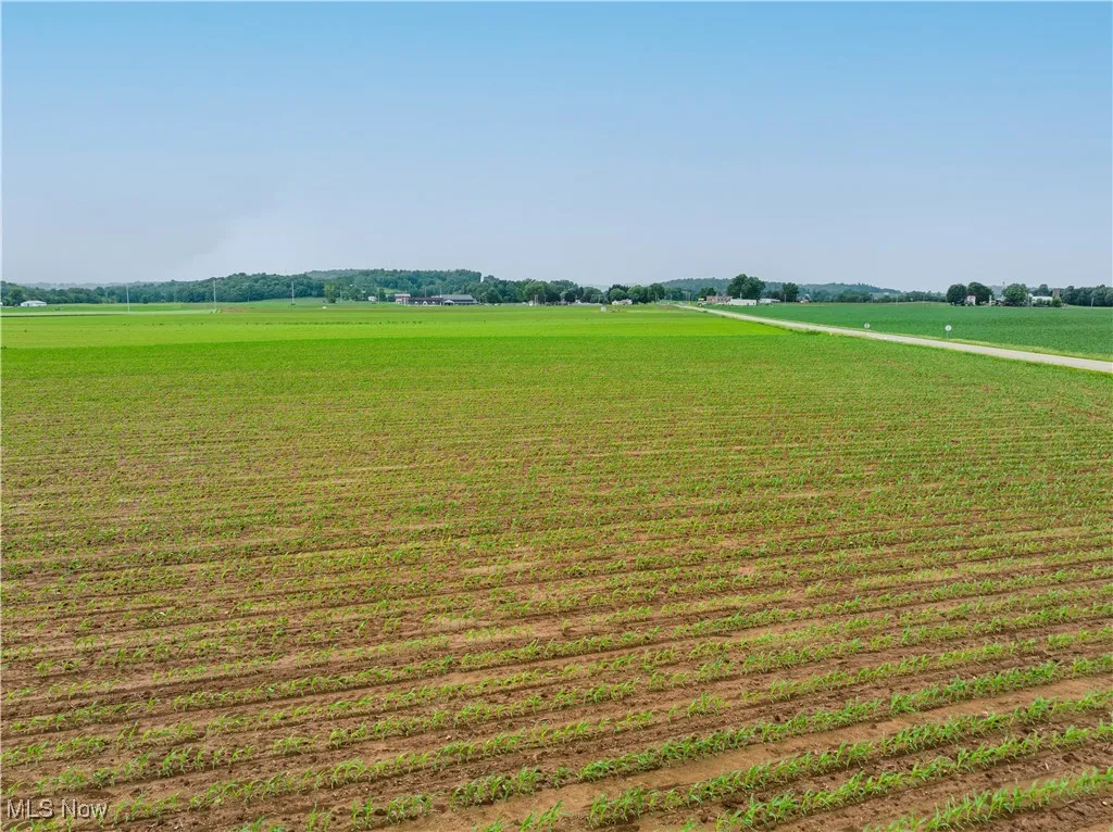 View of home's community featuring a view of countryside and agricultural area